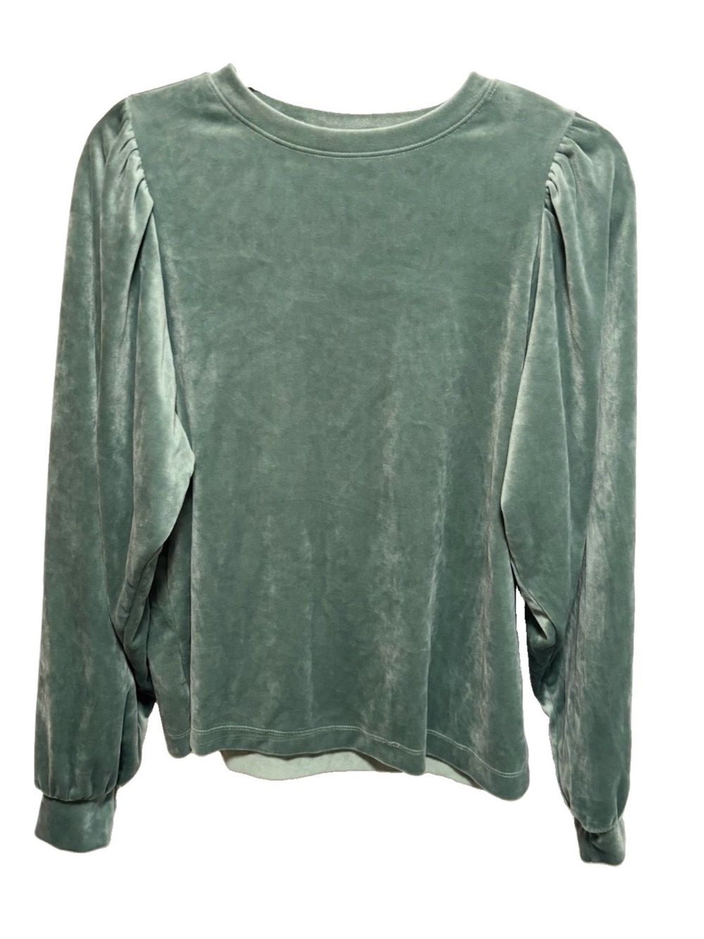 LOFT Velvet Puff-Shoulder Sweatshirt in Sage